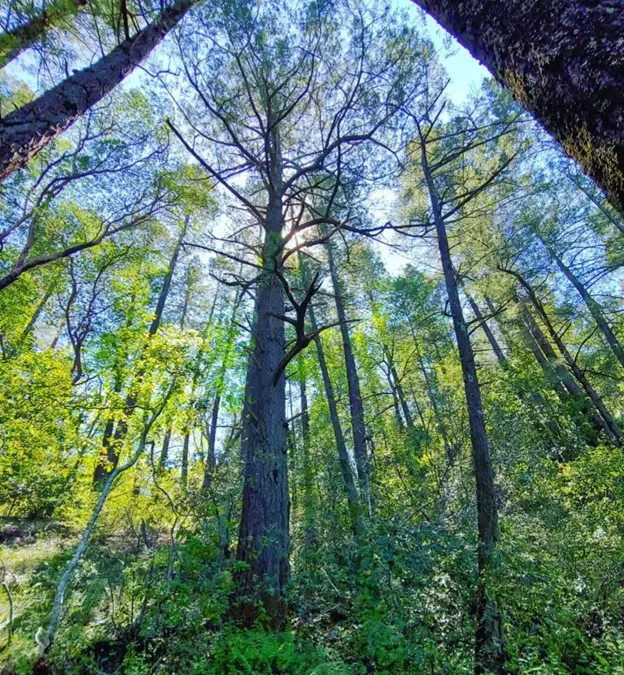 Best Places to Hike in Napa Valley