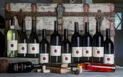 Best Wineries in Yountville to Visit This Year