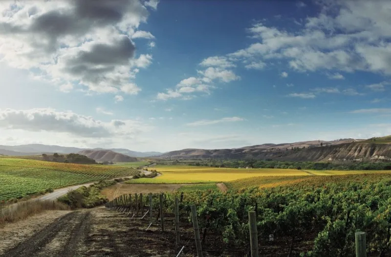 Howell Mountain Cabernet & AVA Highlight