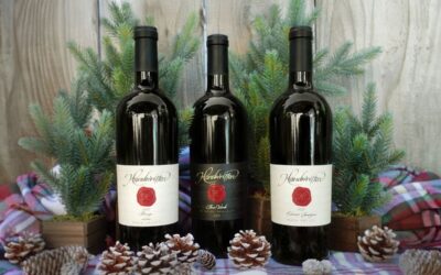 Wine Gift Guide: How to Choose, Give, and Celebrate with the Perfect Bottles & Accessories