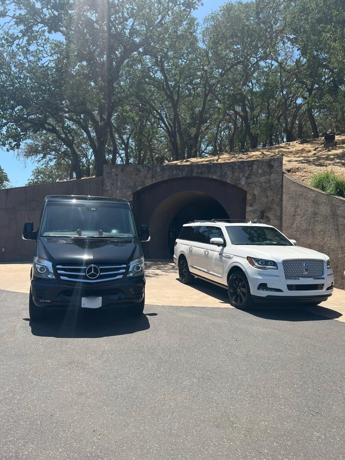 Black van and white SUV parked side by side in front of a stone tunnel entrance surrounded by tall trees.