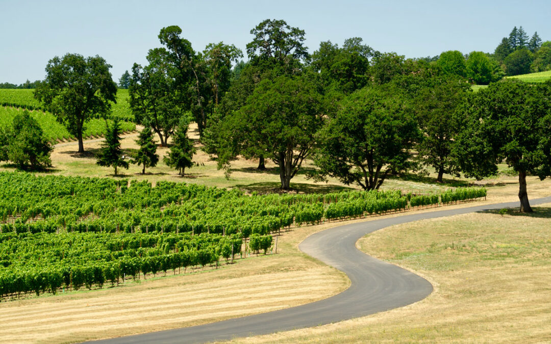 Oak Knoll AVA Napa Valley