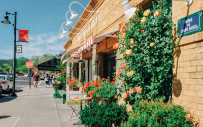 Yountville Wine Tasting: One Perfect Afternoon on Washington Street